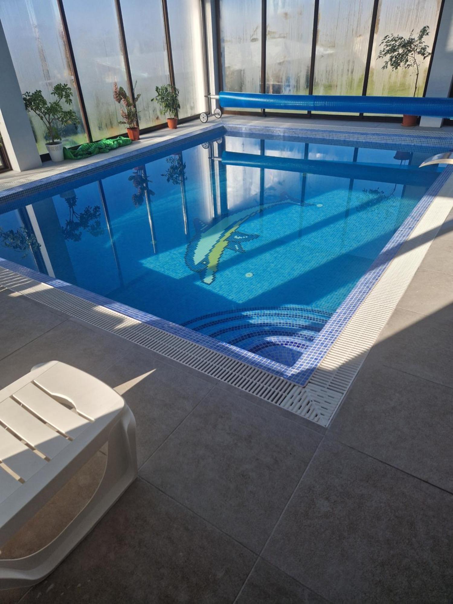Cabanutele Din Lemn Villa Chiscau Екстериор снимка