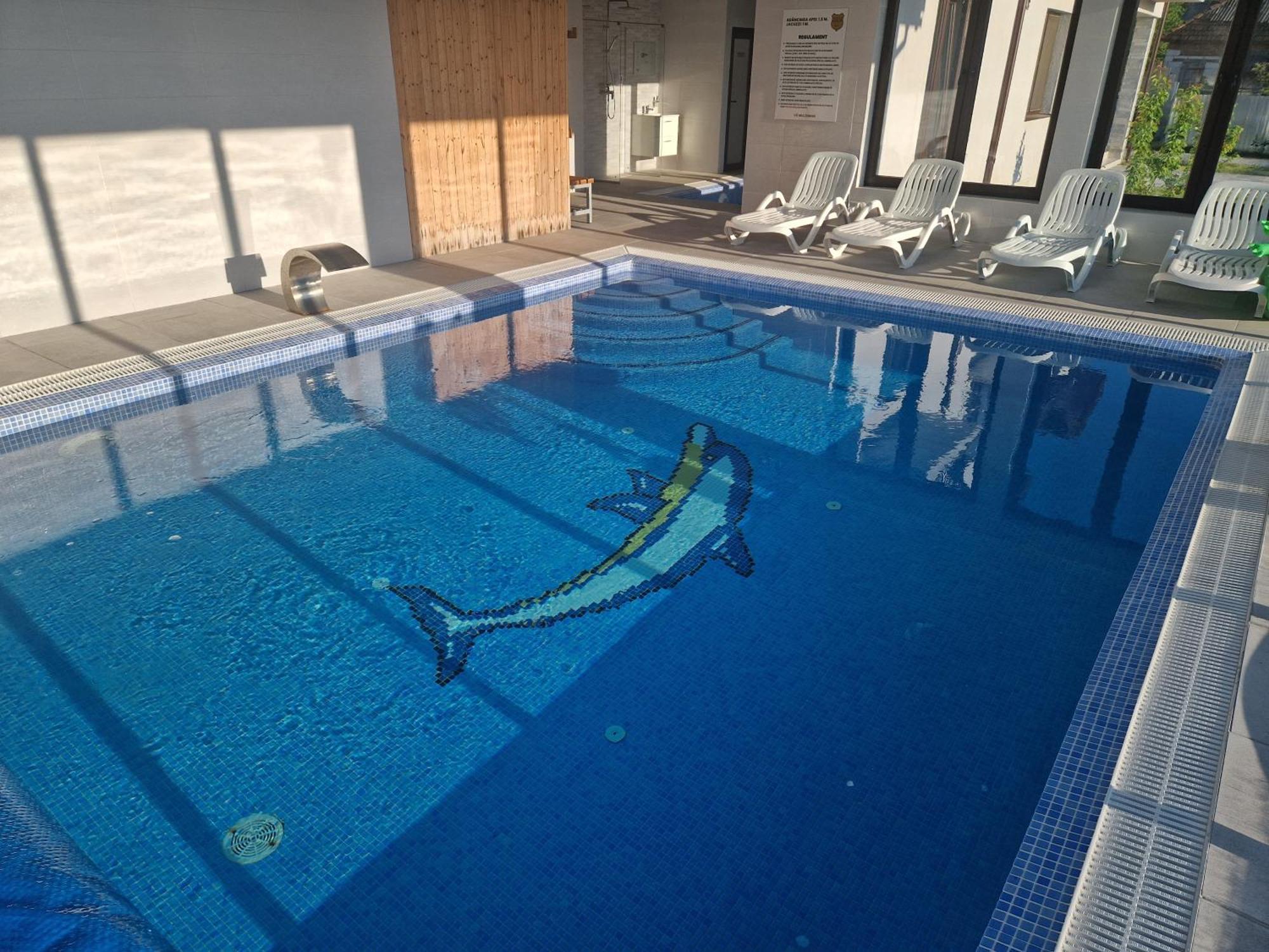 Cabanutele Din Lemn Villa Chiscau Екстериор снимка